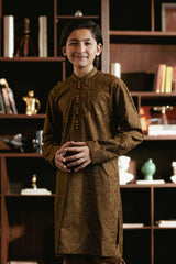 Brown Embroidered Kurta Trouser K-3723