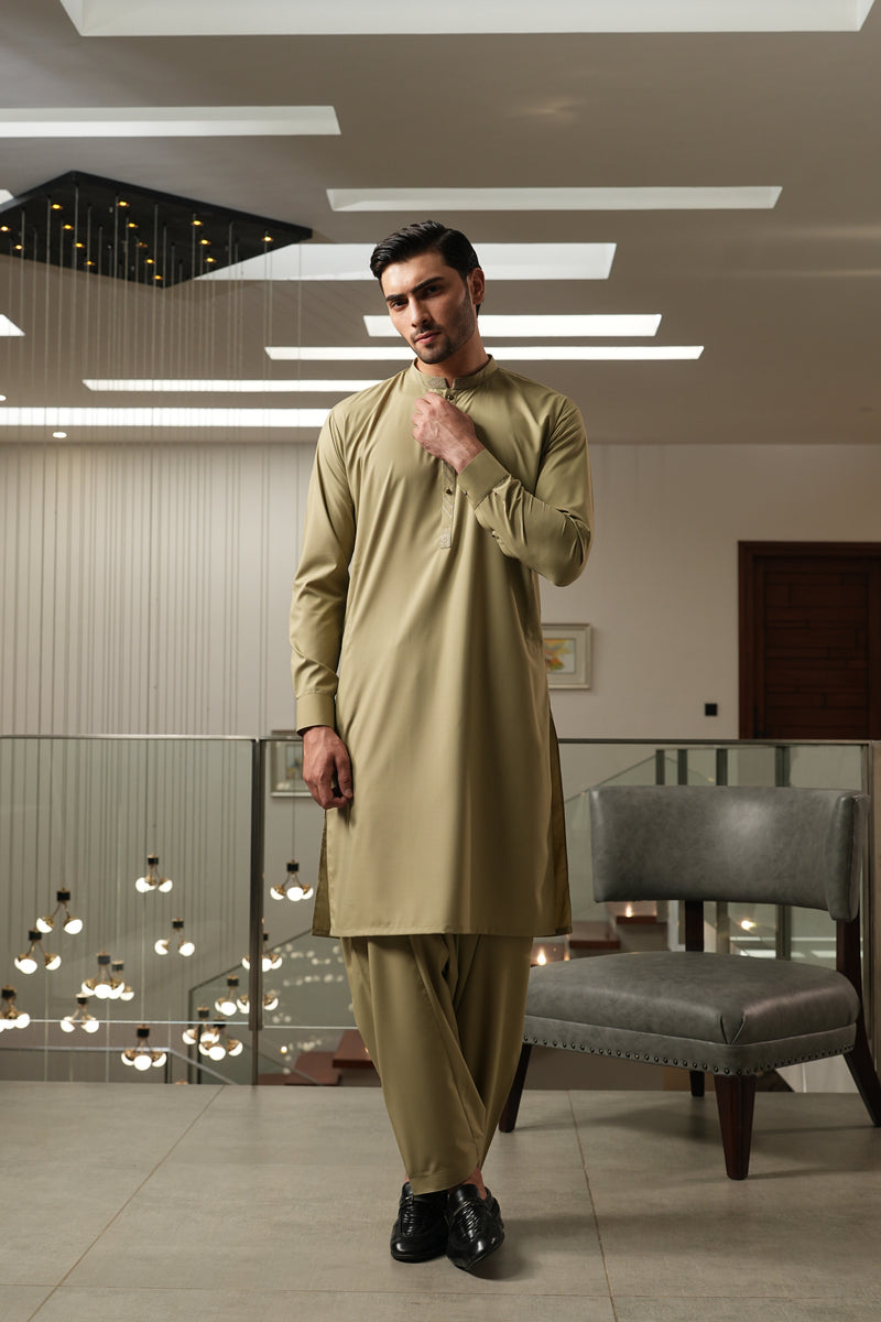 Fawn Embroidered Kameez Shalwar S5-24