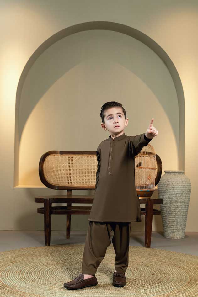 Brown Embroidered Kameez Shalwar KD - 4