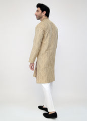 Beige Blended Special Kurta